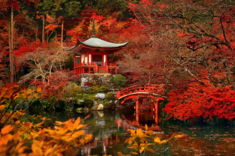 8 colourful places around the world // Kyoto Japan